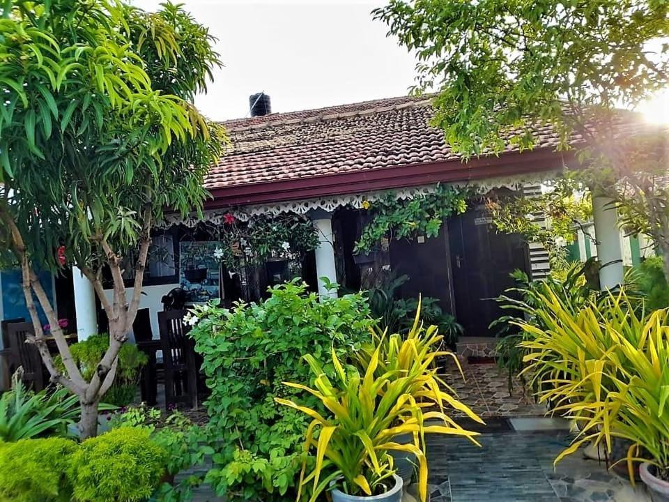 Alexandra Family Villa Negombo Extérieur photo
